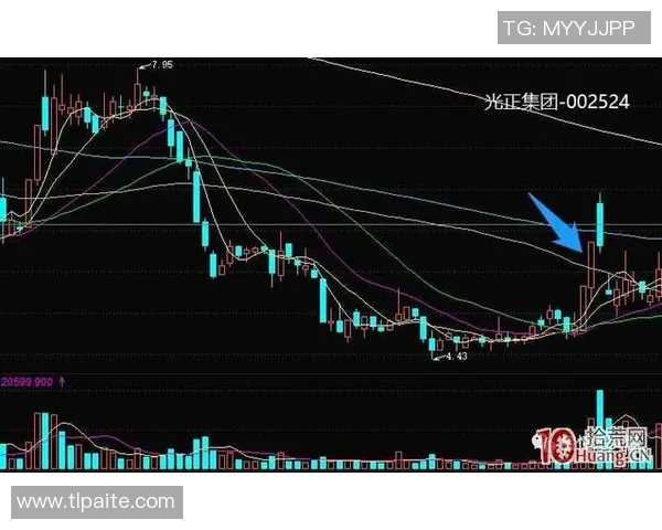 赛后分析：上海篮球队与西安篮球队的战术意识与执行力对比探讨