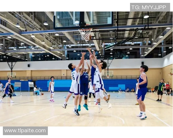 篮球深度：解密杭州篮球队的转换