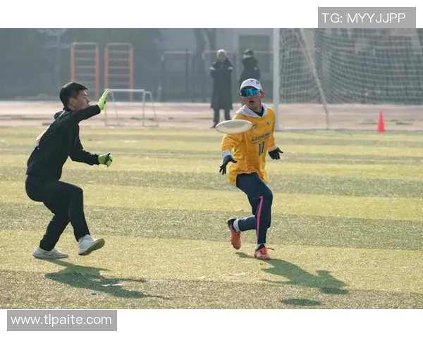 2026飞盘战术排行榜：西安飞盘队位居第1名